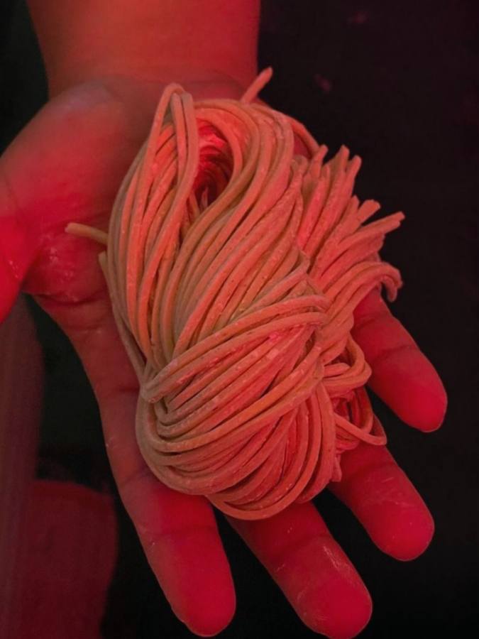 Noodles